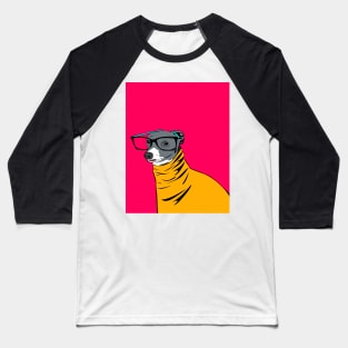 Nasty Boy Kermet Baseball T-Shirt